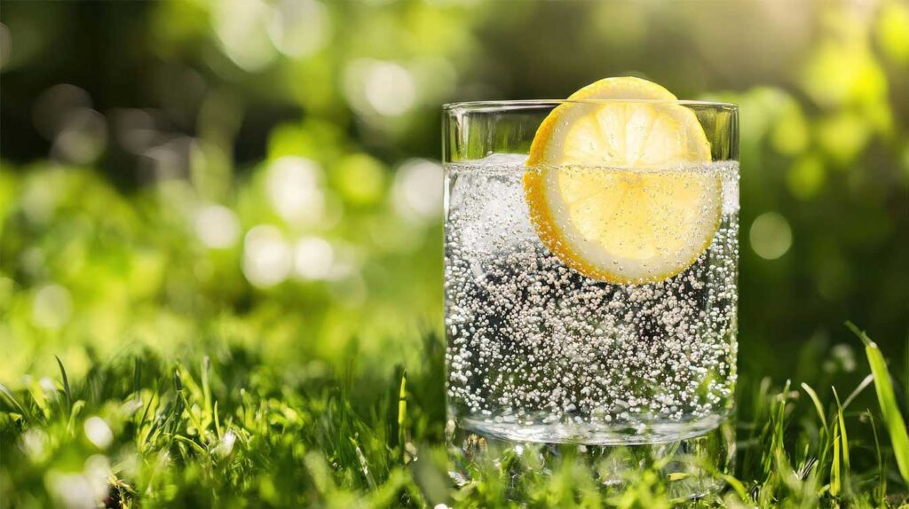 Close up photo of a glass of sparkling water with slice of lemon on a sunny lawn